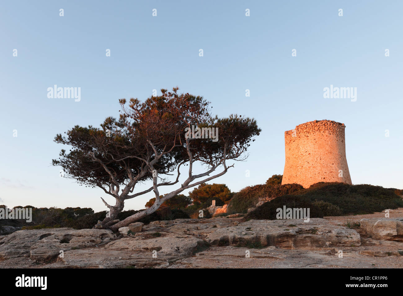 Cala Pi, Majorque, Îles Baléares, Espagne, Europe Banque D'Images
