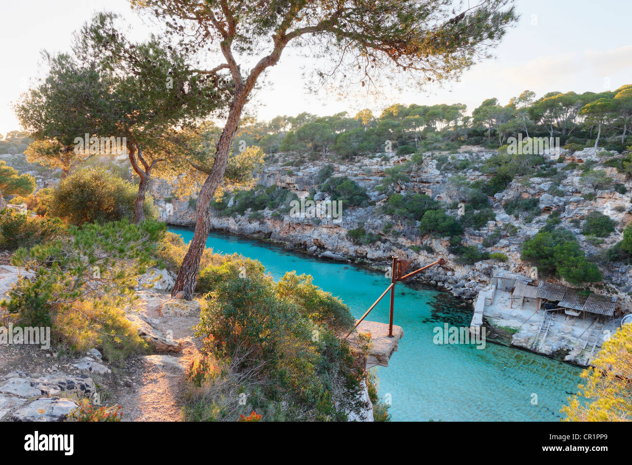 Cala Pi, Majorque, Îles Baléares, Espagne, Europe Banque D'Images