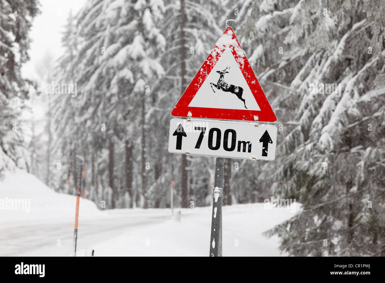 Road sign, Attention deer crossing, Oetscher-Tormaeuer Mostviertel, parc naturel, doit trimestre, Basse Autriche, Autriche, Europe Banque D'Images