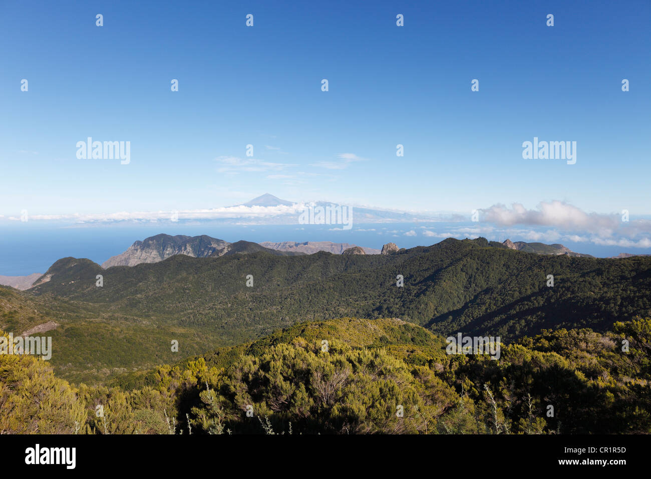 Collines boisées dans le Parc National de Garajonay, vue sur la montagne de Garajonay, plus haut sommet de l'île de La Gomera Banque D'Images