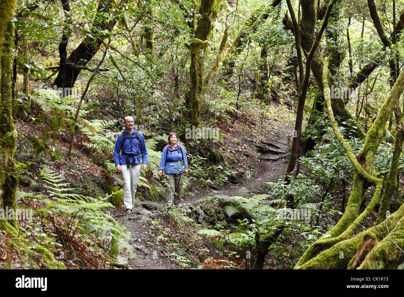L'homme et la femme en randonnée sur un sentier forestier, forêt de lauriers, le Parc National de Garajonay, La Gomera, Canary Islands, Spain, Europe Banque D'Images
