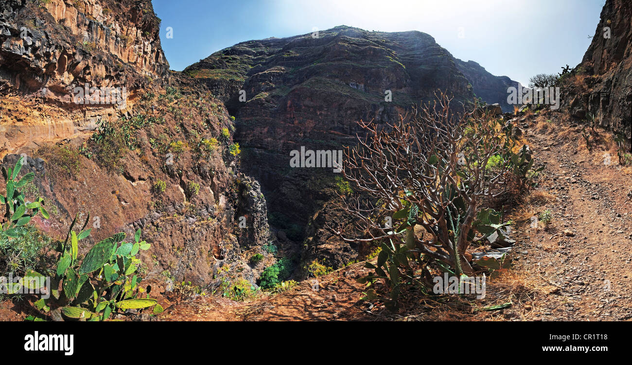 Panorama avec randonneur, canyon du Barranco de Guarimiar, La Gomera, Canary Islands, Spain, Europe Banque D'Images