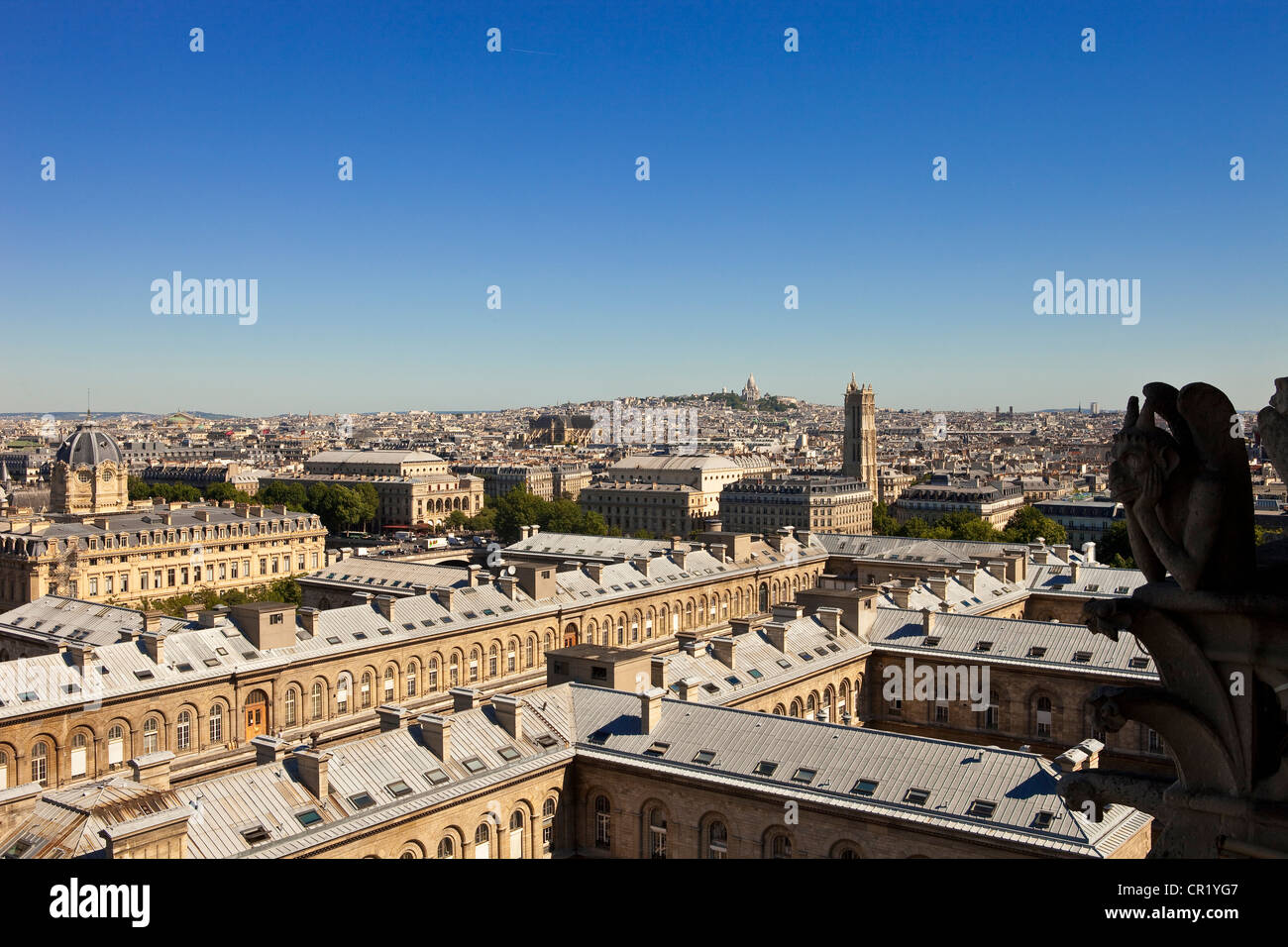 France, Paris, vue générale de la cathédrale Notre-Dame de Paris Banque D'Images