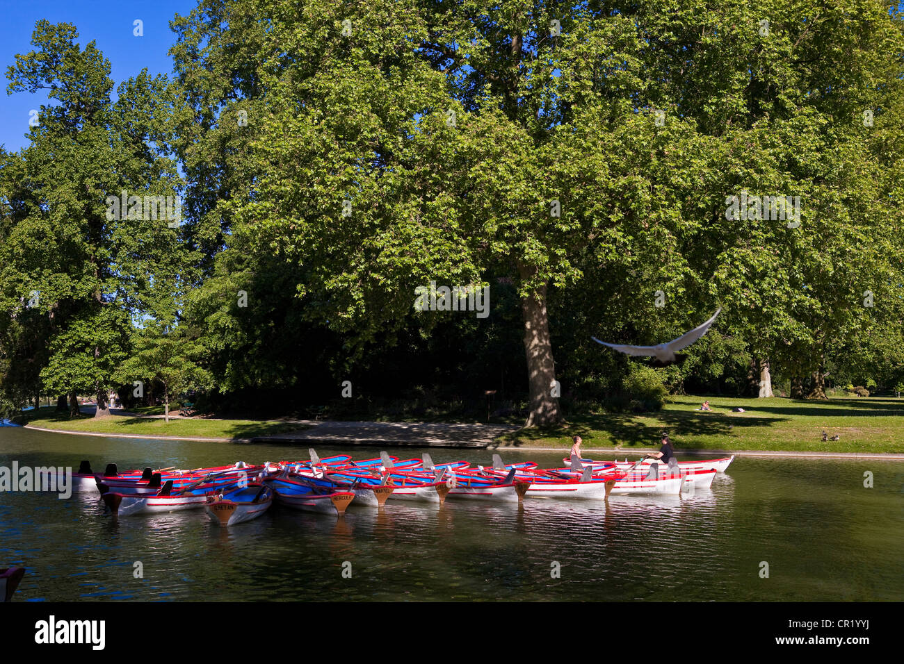 France, Paris, Bois de Vincennes, lac Daumesnil, location de bateau Banque D'Images