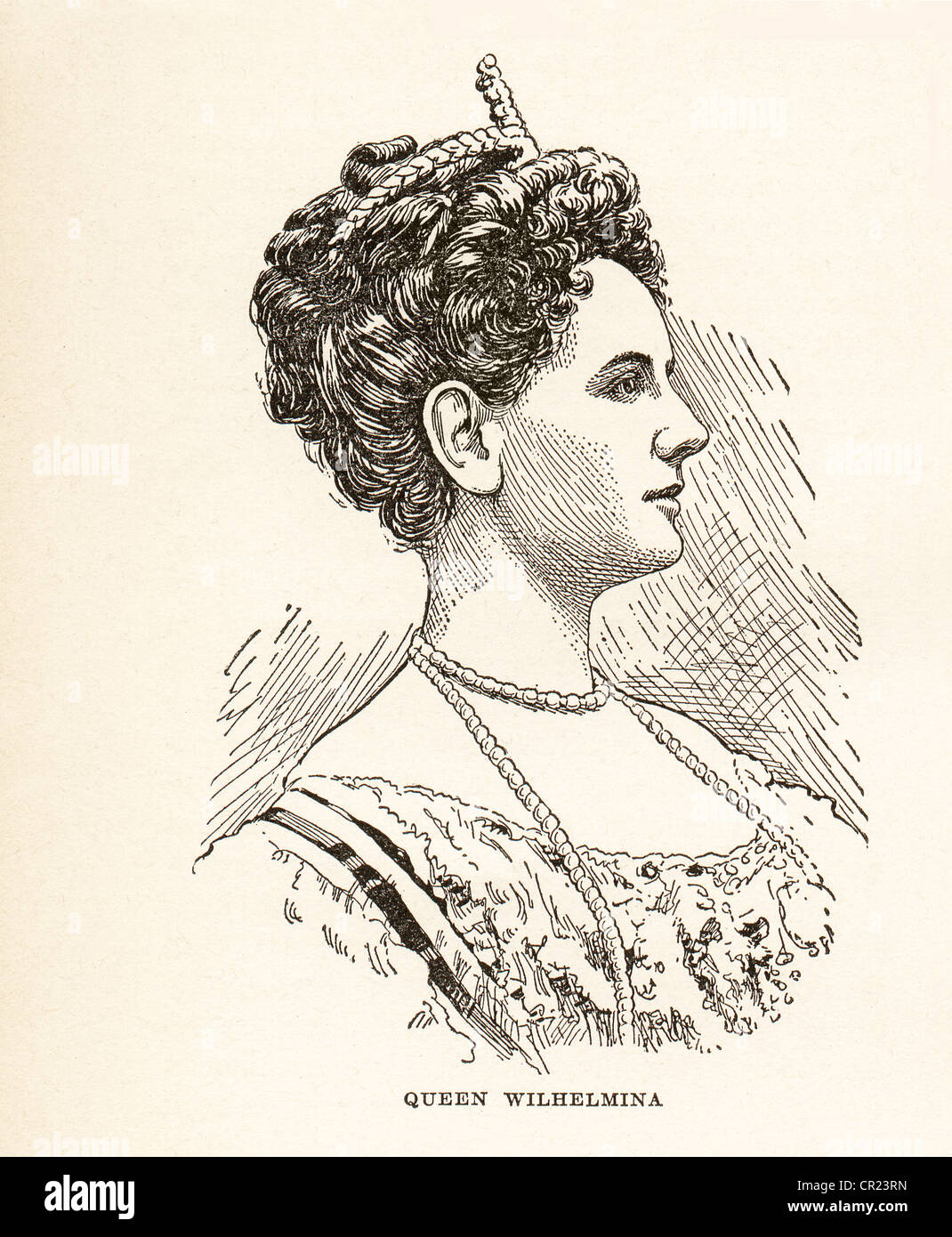 Vintage gravure de la Reine Wilhelmine, 1880 - 1962, le néerlandais, le monarque de Pays-bas, Wilhelmina Helena Pauline Maria Banque D'Images