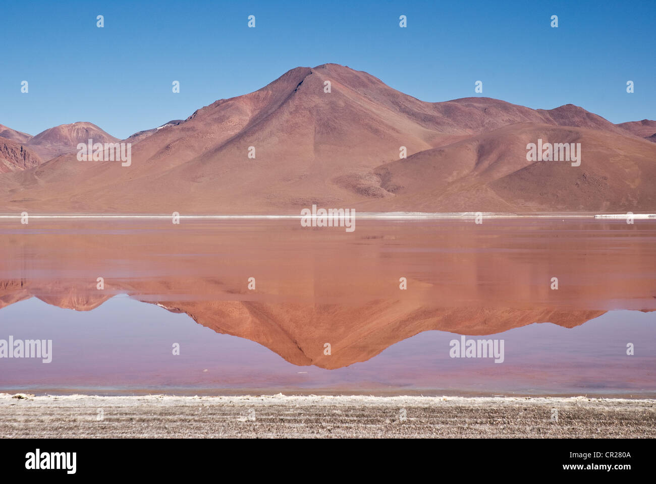 Vue de la lagune rouge, Bolivie Banque D'Images