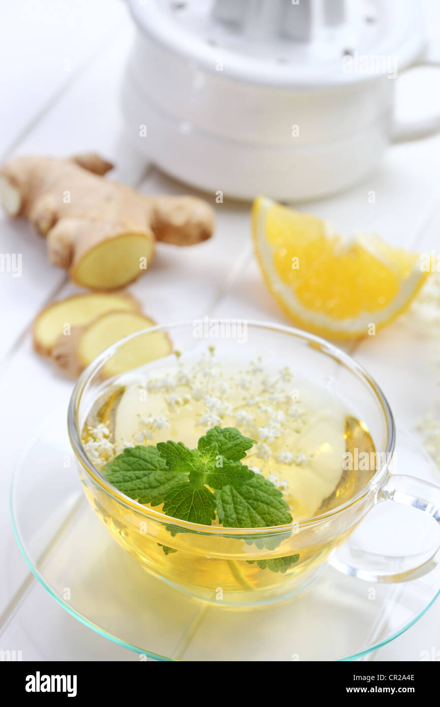 Avec le thé de gingembre et menthe fleur d'un aîné Banque D'Images