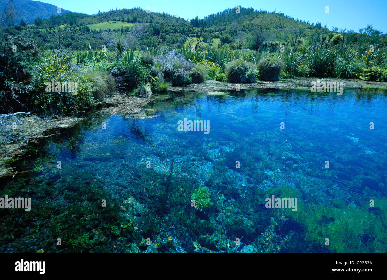 Pupu Pool Te waikoropupu springs Banque de photographies et d’images à haute ...