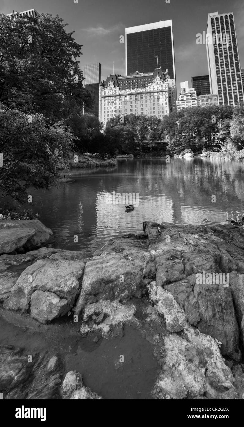 Central Park, New York City vue depuis le lac en direction de l'hôtel Plaza et de Central Park South Banque D'Images