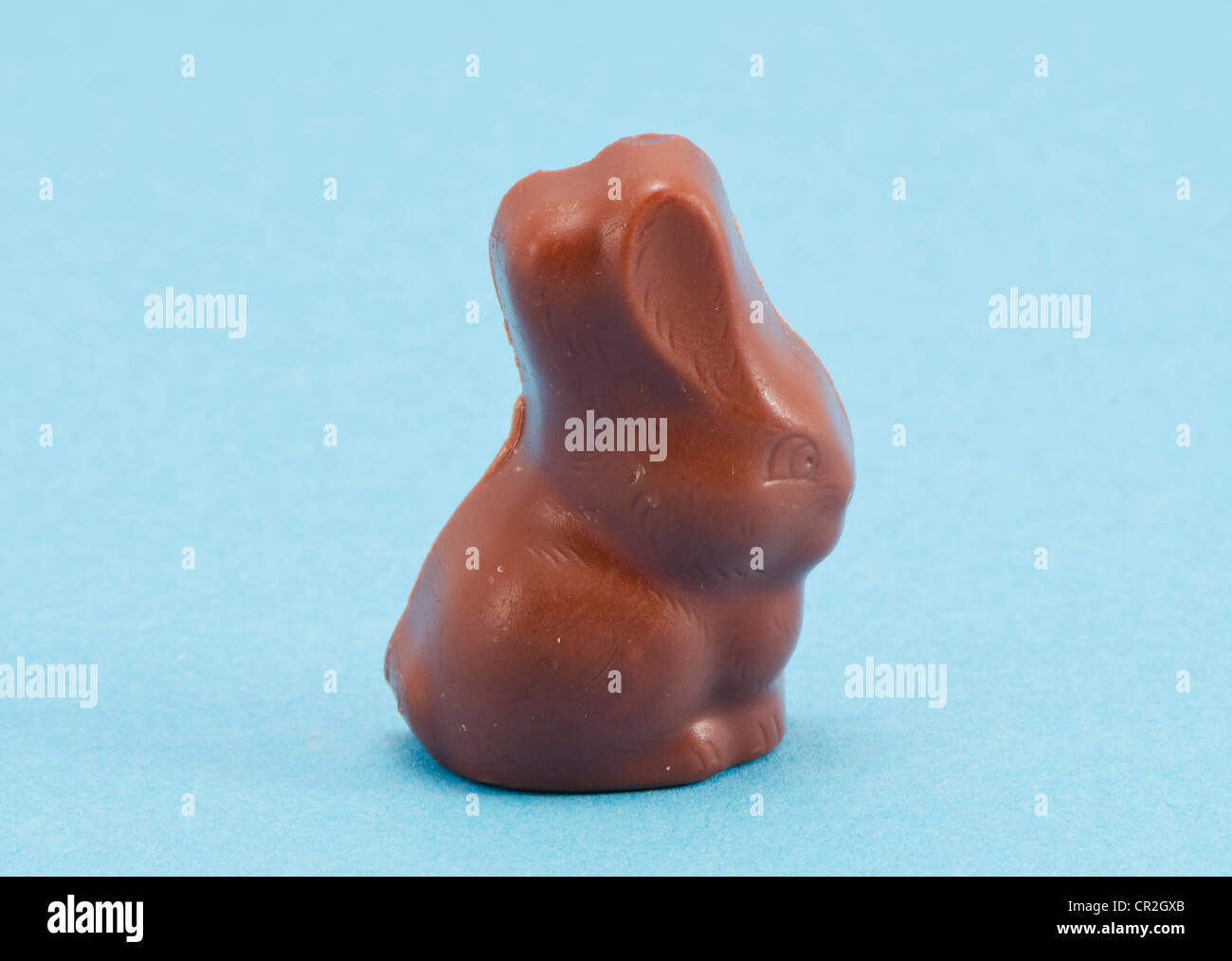 Lapin de Pâques en chocolat symbole sur fond bleu. Banque D'Images