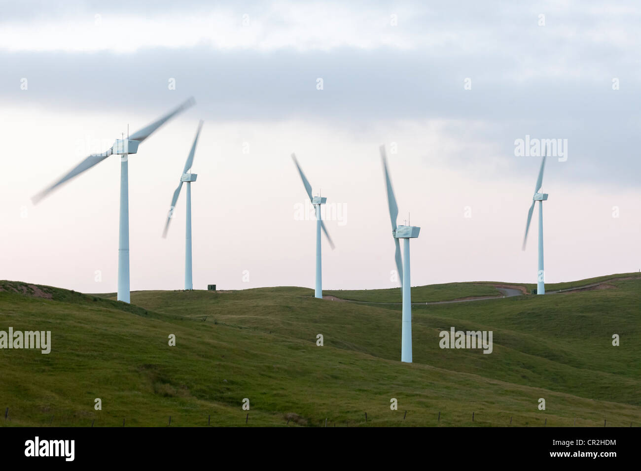 Te Rere Hau Wind Farm, gammes, Aokautere Tararua, Manawatu, Nouvelle-Zélande, Océanie Banque D'Images