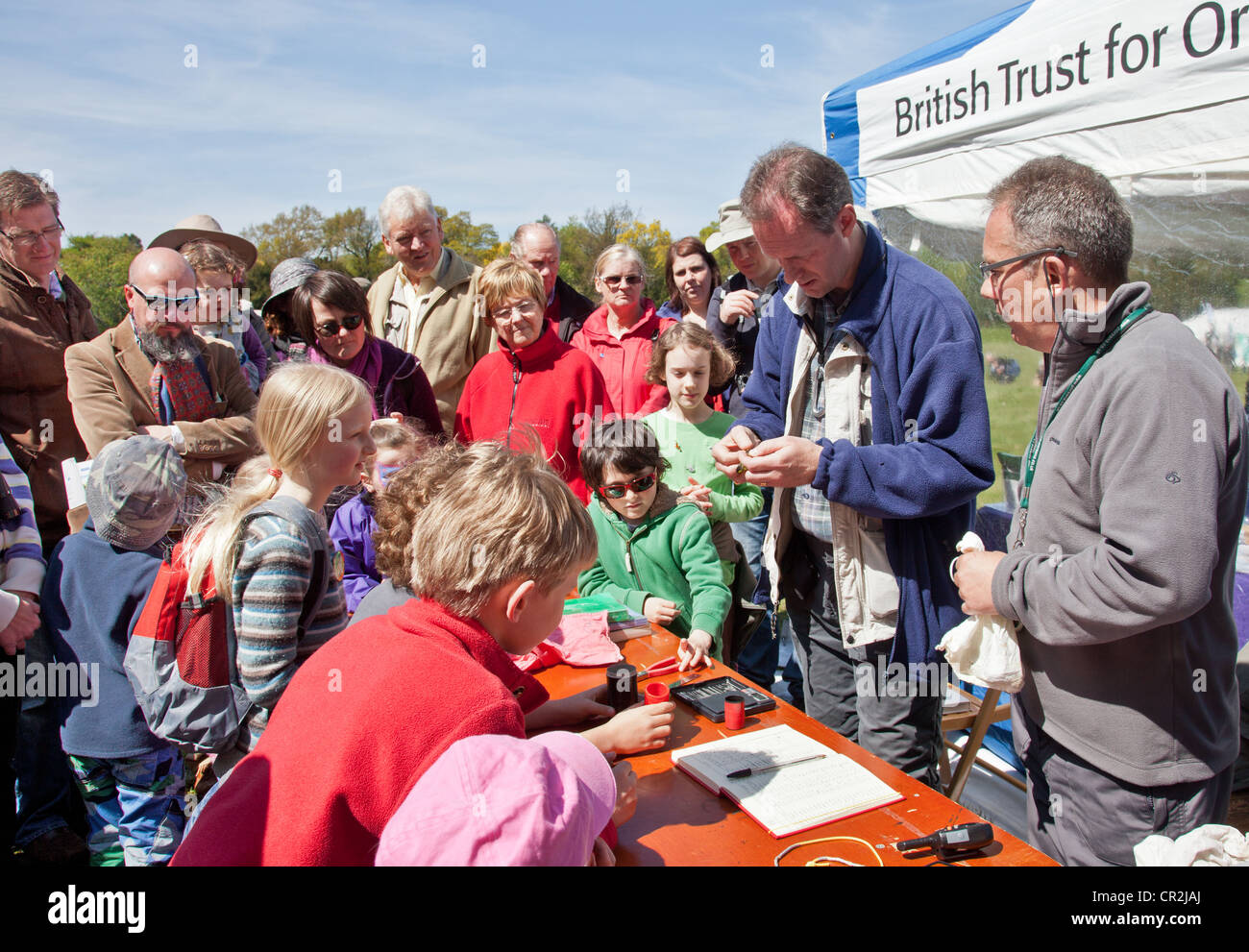 BTO qualifié sonnerie démontrant la bonne façon d'anneaux un Siskin, Spinus spinus, fka Carduelis spinus, à la Foire écossaise d'observation des oiseaux Banque D'Images