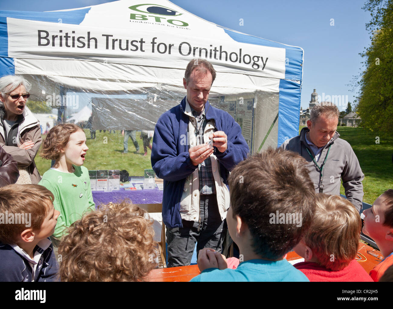 Sonnerie qualifiée BTO holding up a d'oiseaux Bruant au cours d'une démonstration à la Scottish Birdwatching Fair Banque D'Images