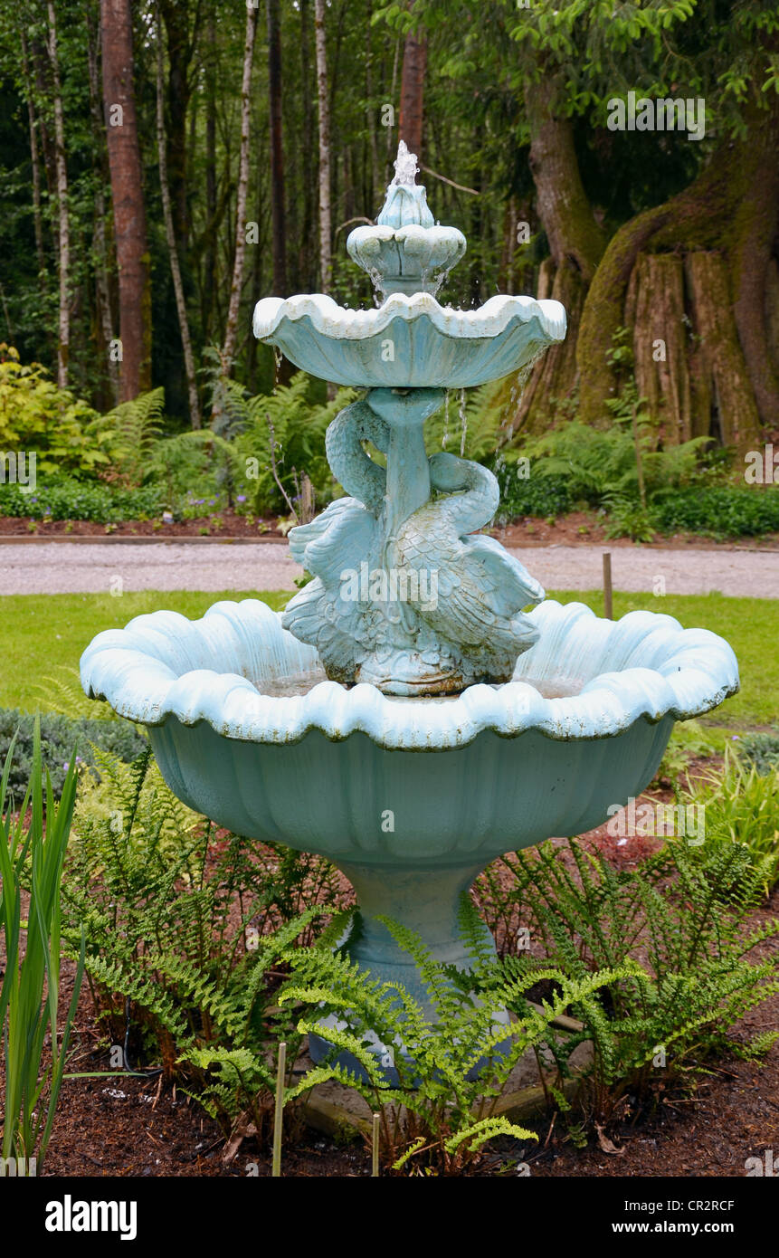 Blue swan fontaine jardin botanique Banque D'Images