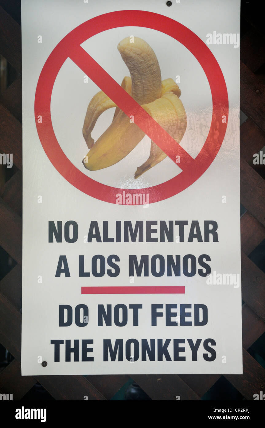 Inscrivez-vous à un ecolodge dans Tortuguero, Costa Rica Banque D'Images