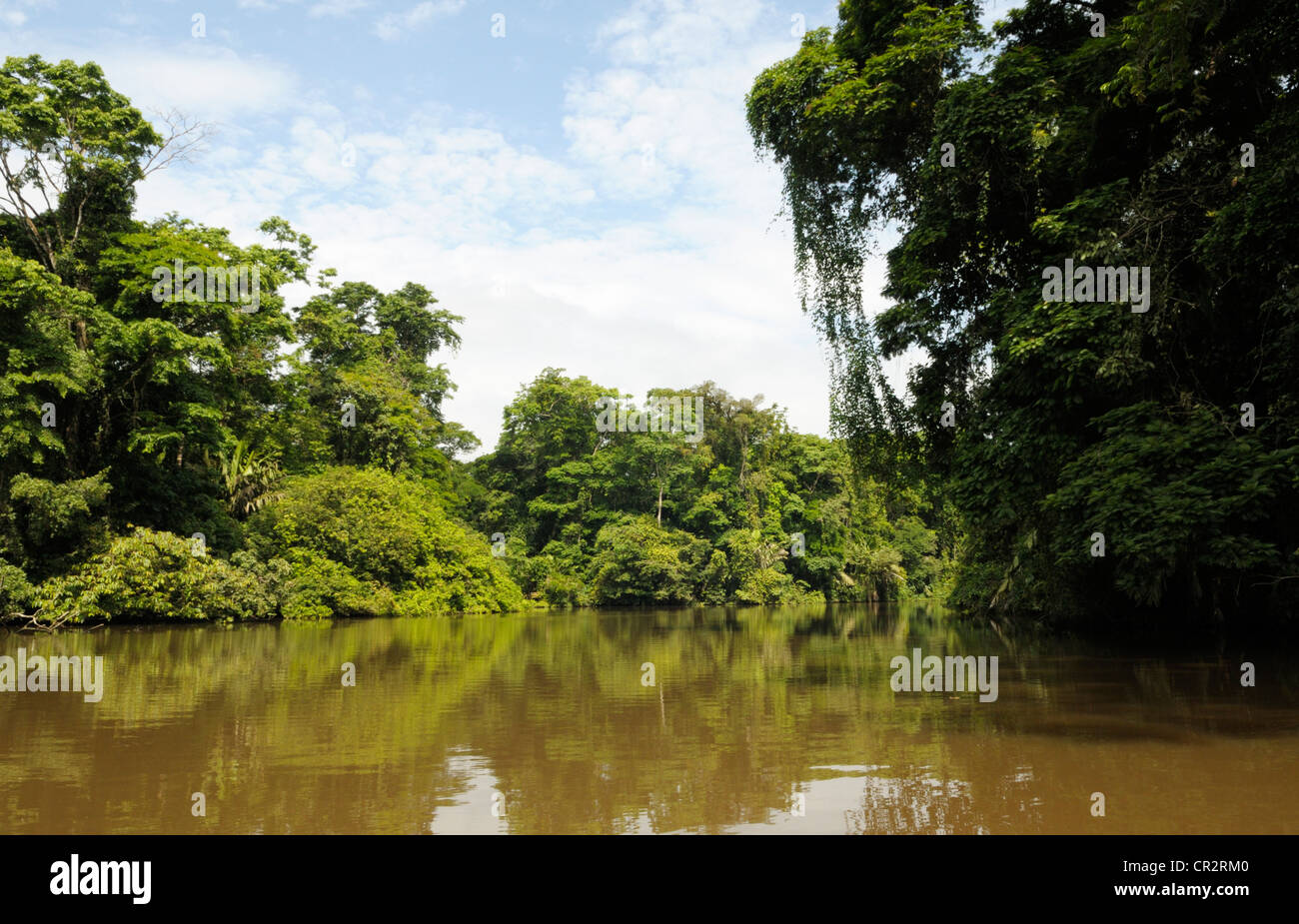 Parc National de Tortuguero, Costa Rica Banque D'Images