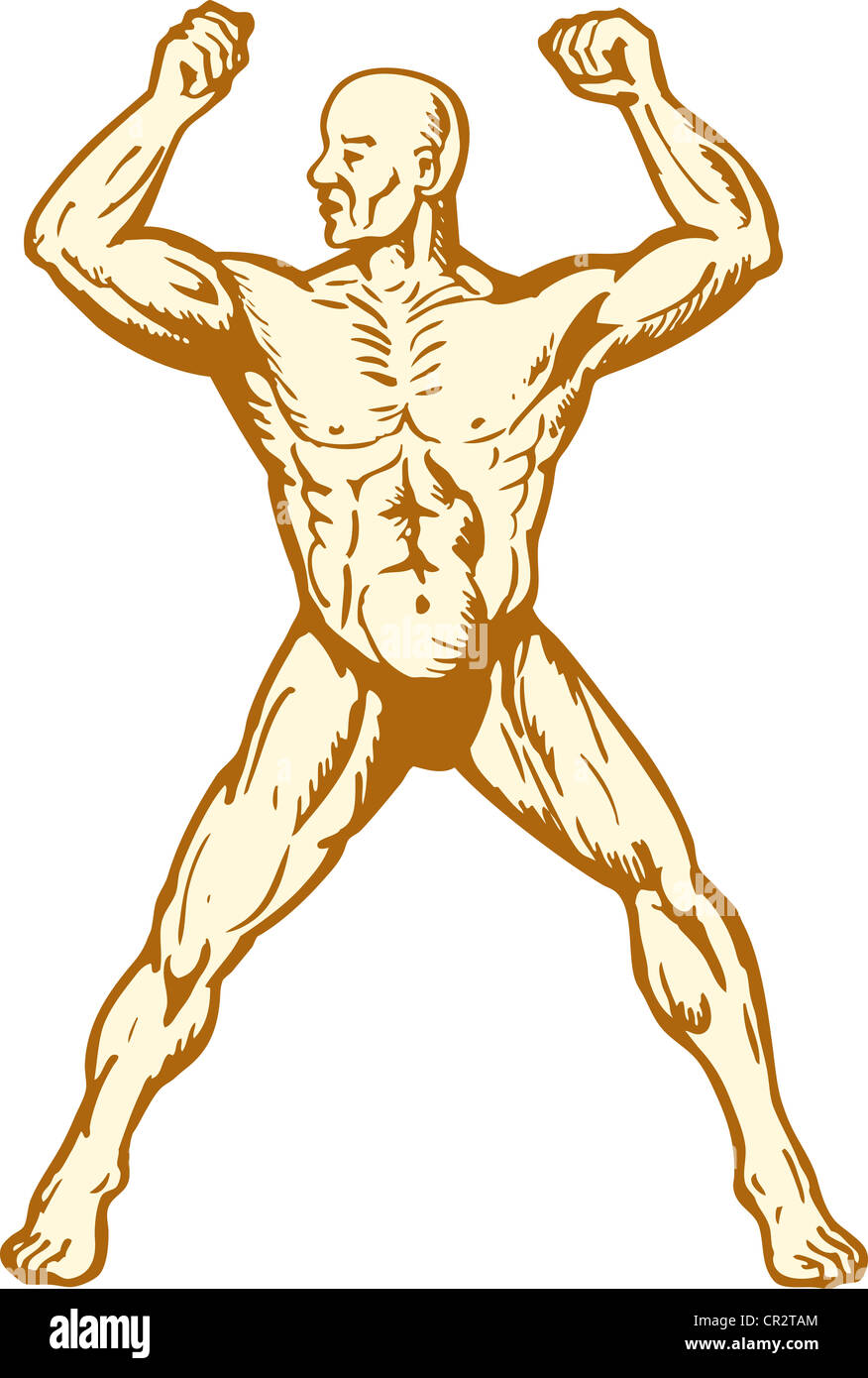 Illustration de l'homme anatomie humaine Body builder flexing muscles sur fond isolé woodcut style. Banque D'Images