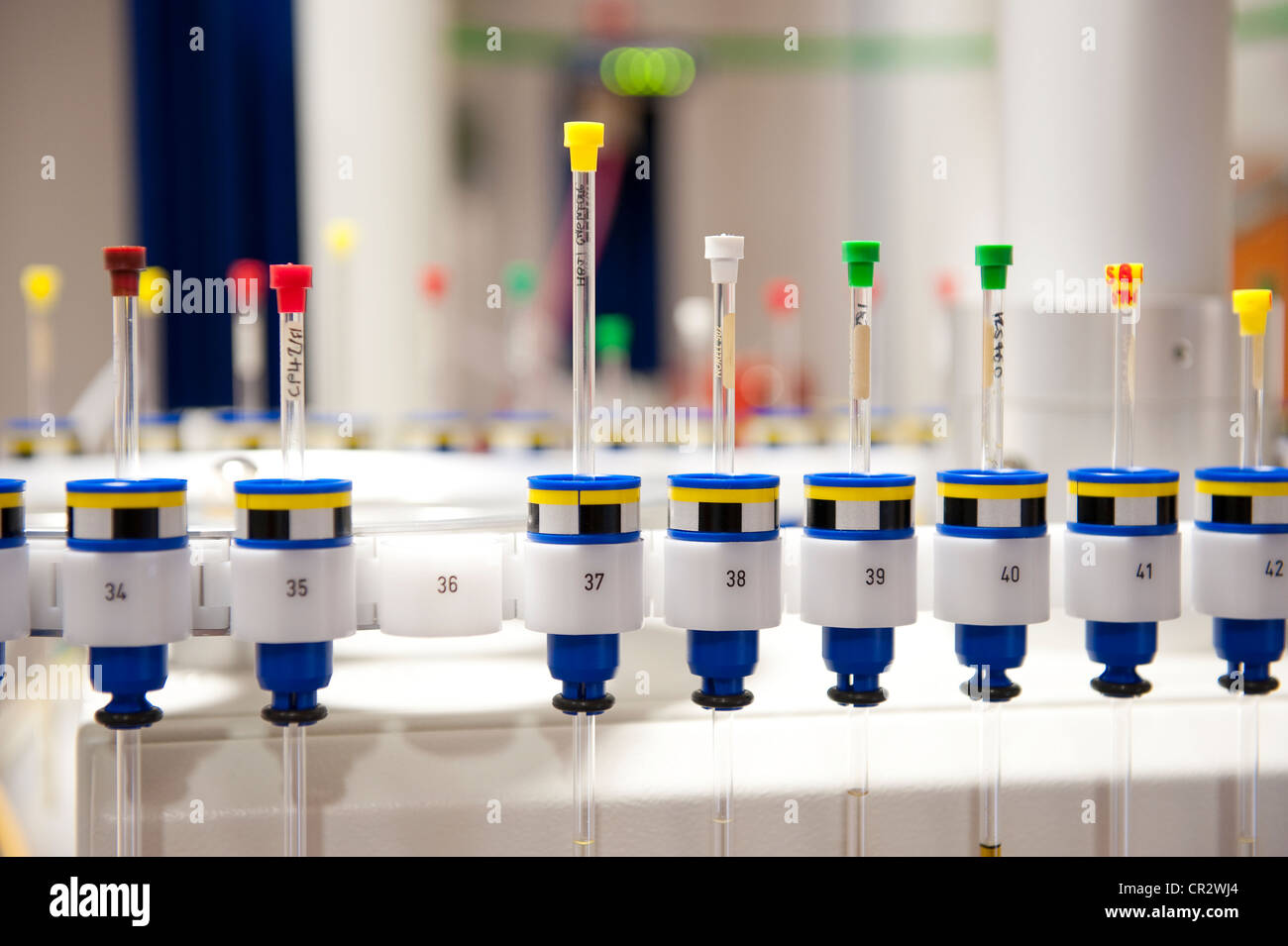 Tubes à essai en verre Flacons de laboratoire de chimie Banque D'Images