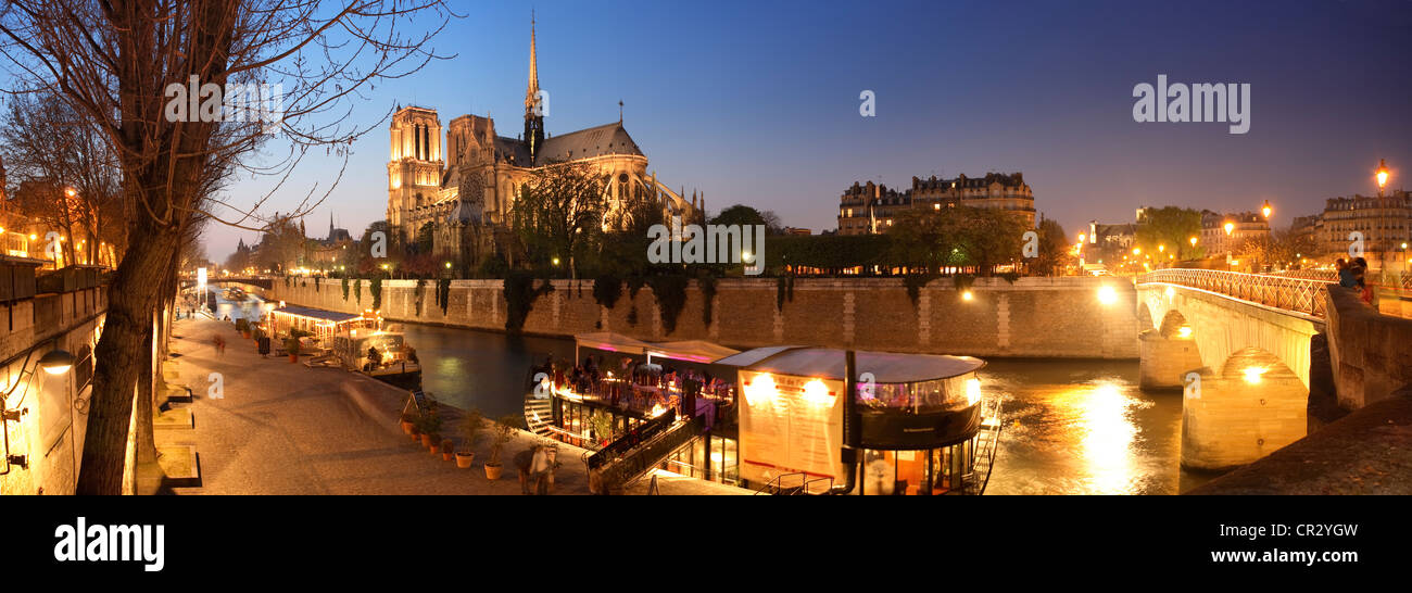 France, Paris, rives de la Seine au Patrimoine Mondial de l'UNESCO, l'Ile de la cité, la Cathédrale Notre-Dame Banque D'Images