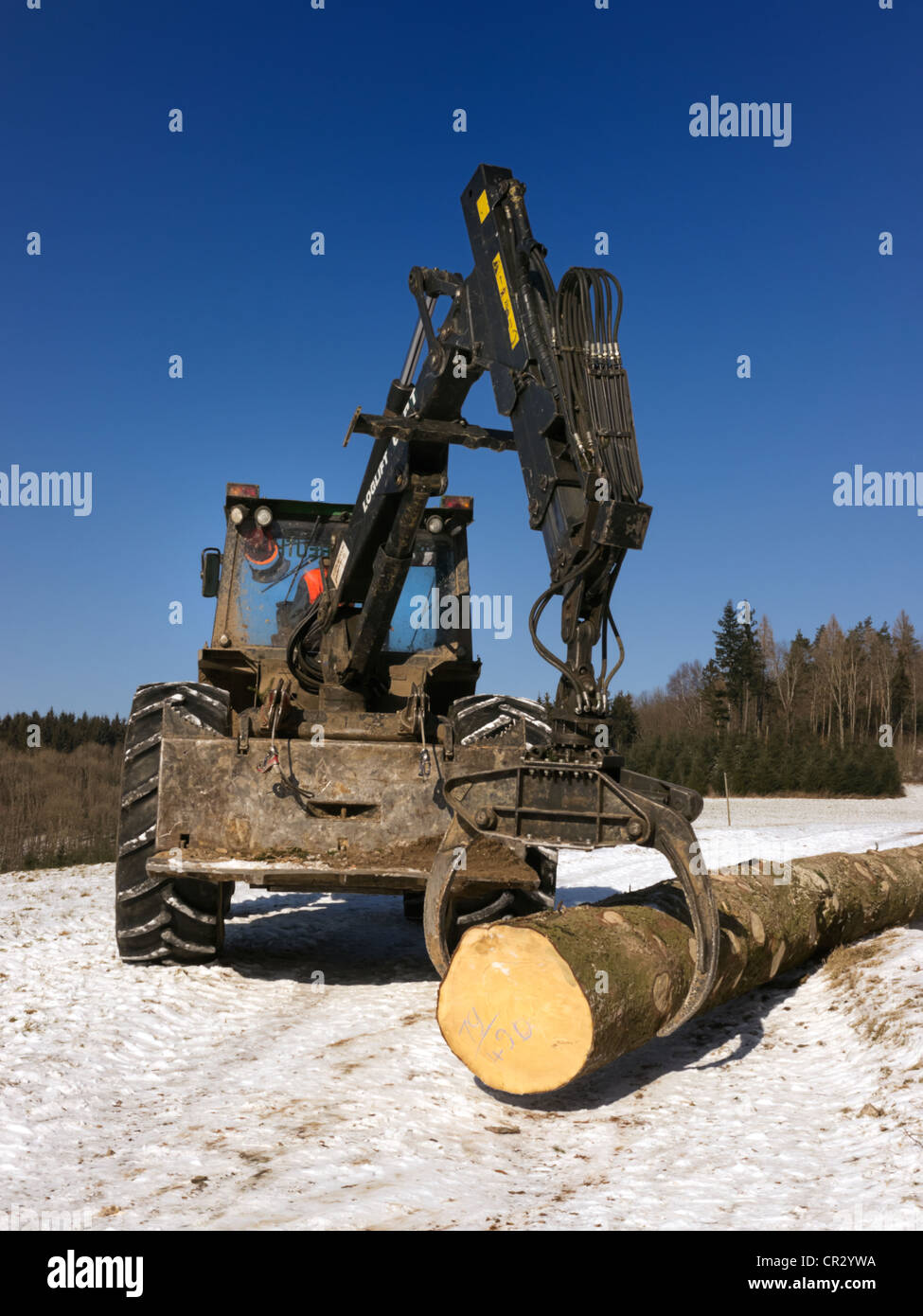 L'exploitation forestière, le bois abattu en cours de traitement en bois d'œuvre, Freiburg, forêt noire, Bade-Wurtemberg, Allemagne, Europe, publicground Banque D'Images