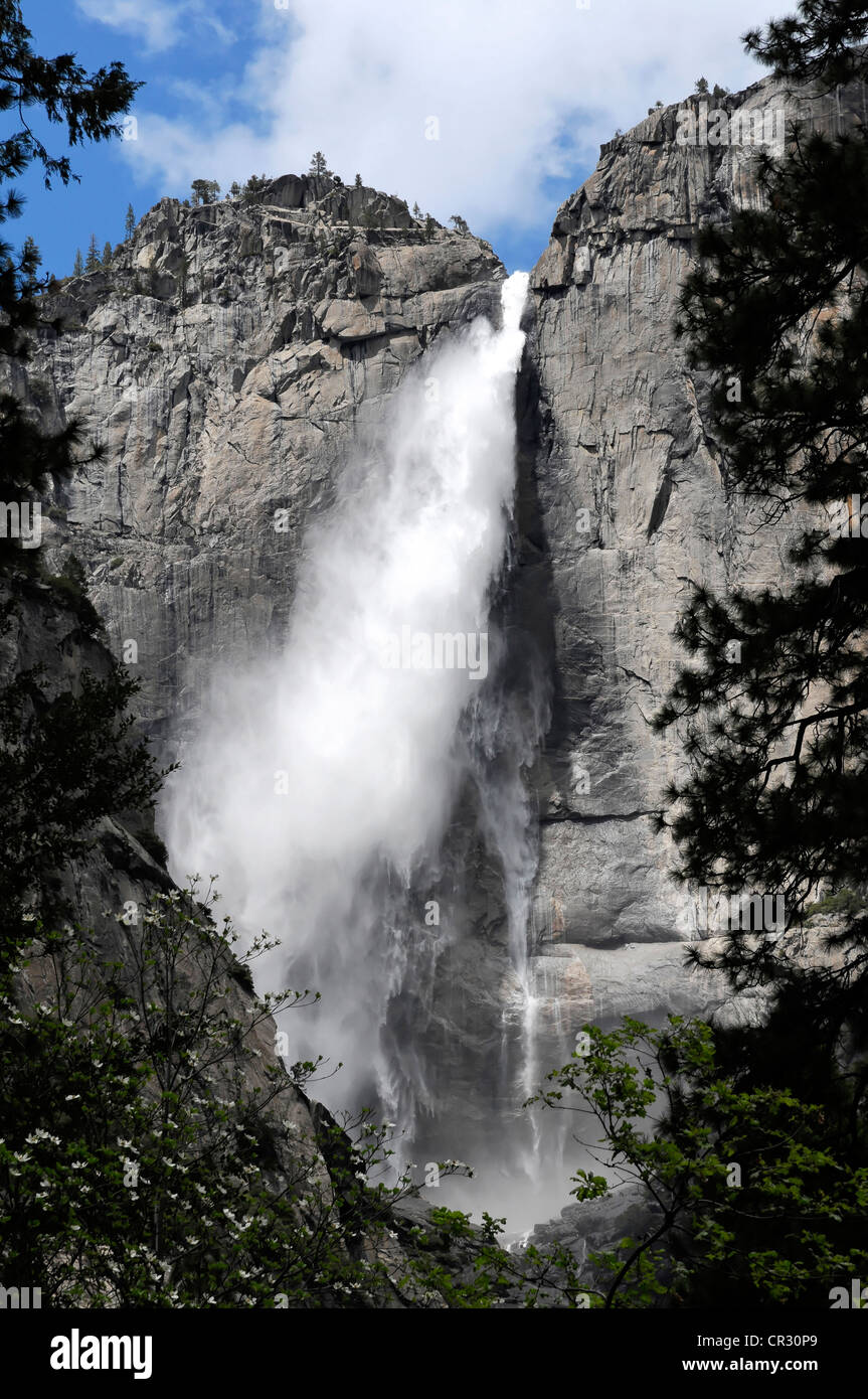 La partie inférieure des chutes de Yosemite, Yosemite National Park, California, USA, Amérique du Nord Banque D'Images