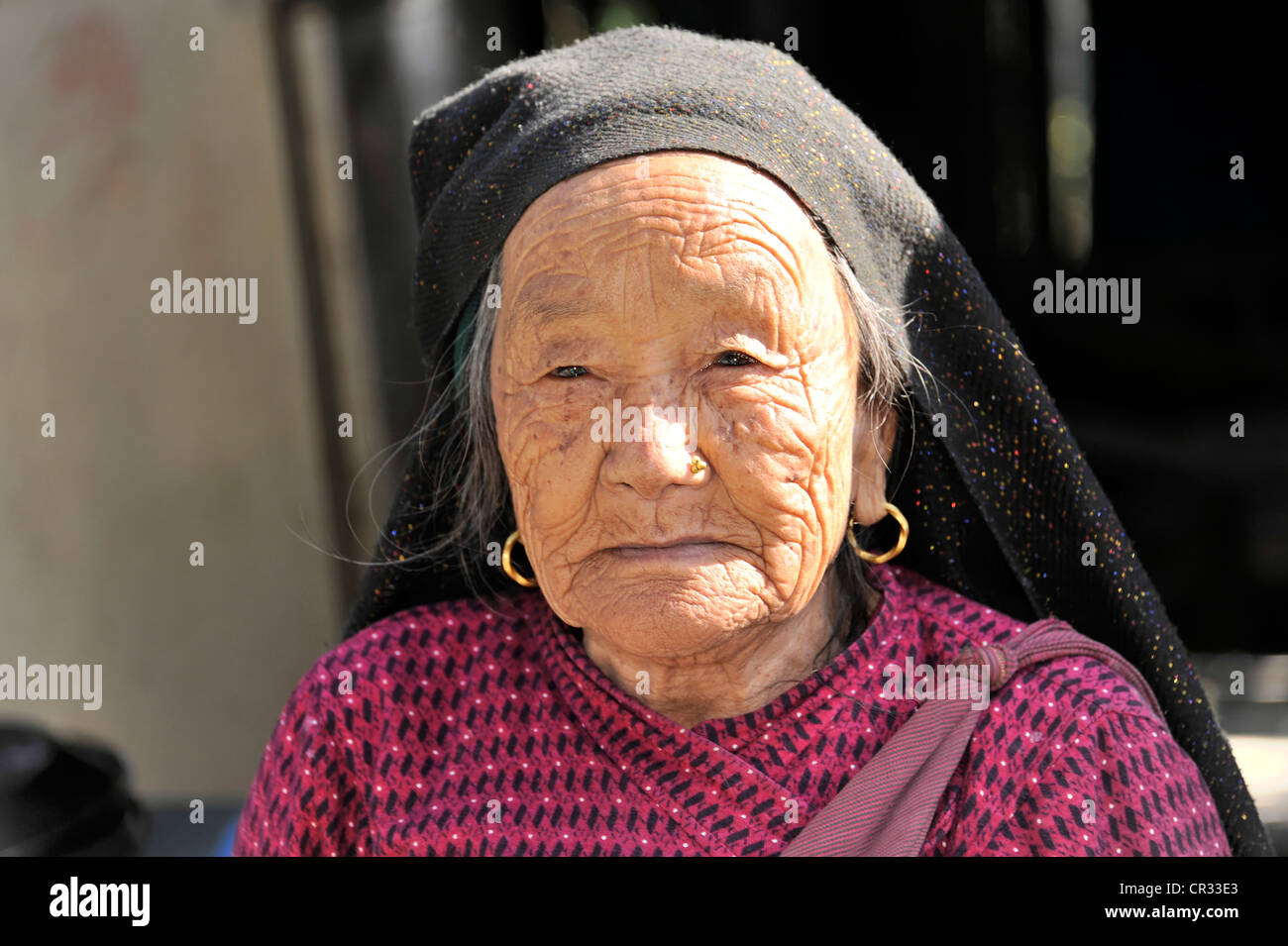 Vieille femme népalaise, portrait, parc national de Chitwan, Népal, Asie Banque D'Images