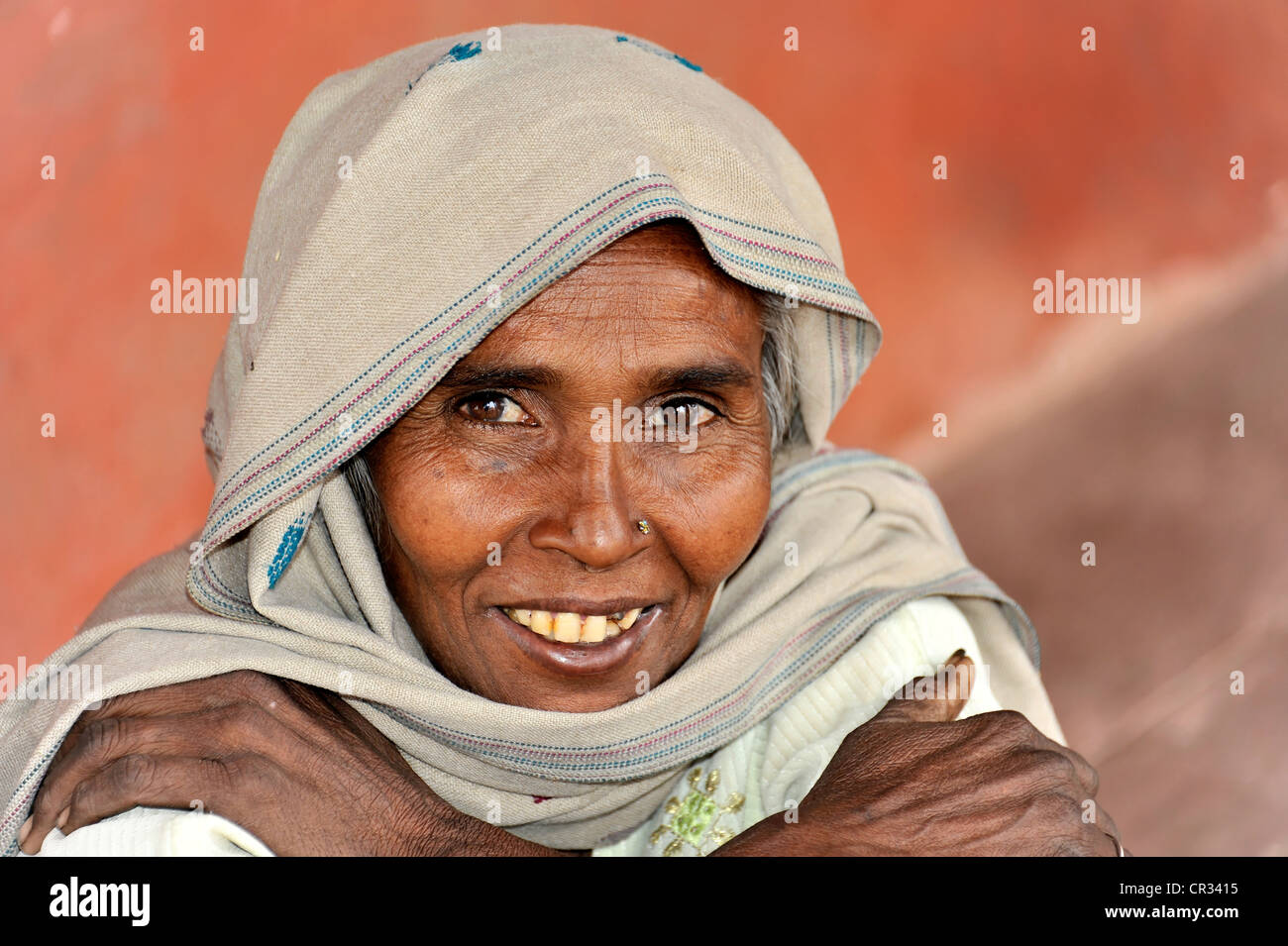 Femme indienne, portrait, Delhi, Inde du Nord, Inde, Asie Banque D'Images