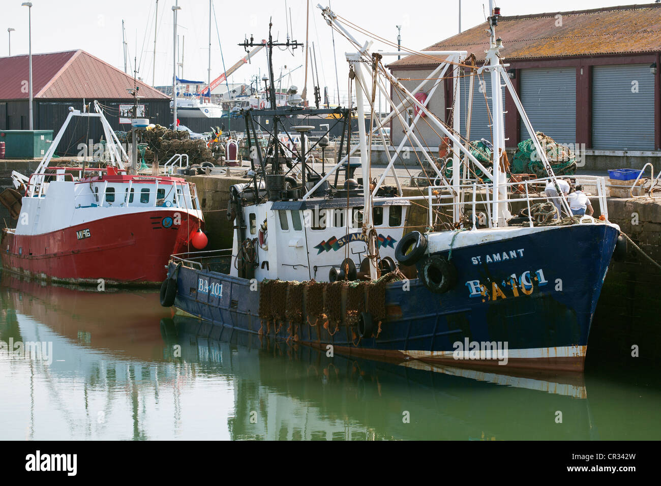 Les chalutiers et bateaux de pêche. Port d'Arbroath Ecosse UK Banque D'Images