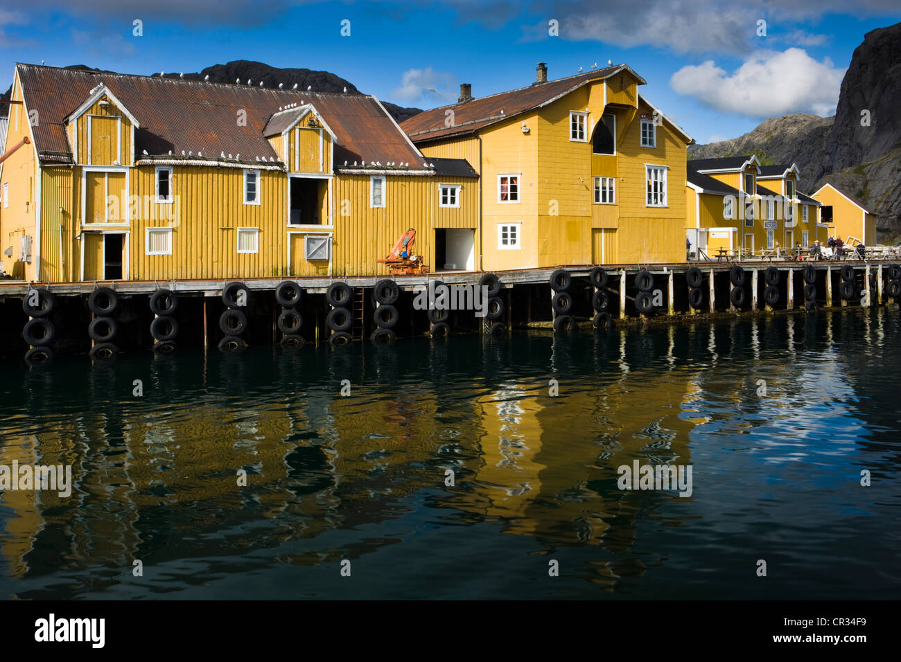 Museum Village de Nusfjord, Flakstadoya, île de Vestvagoya, Lofoten, Norway, Scandinavia, Europe Banque D'Images