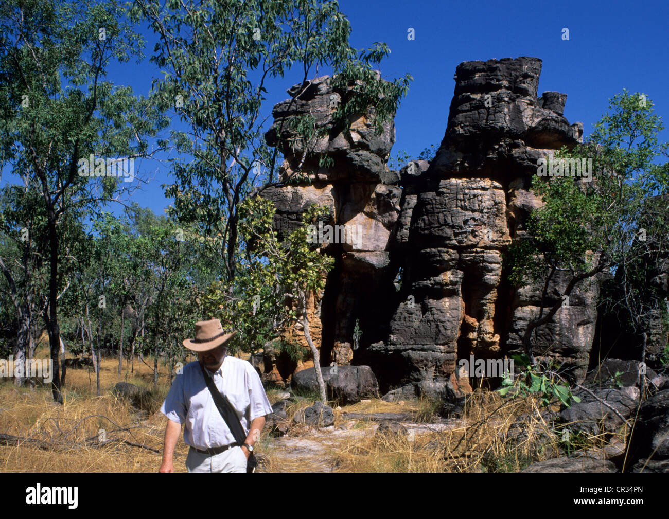 L'Australie, Territoire du Nord, Litchfield National Park, Lost City rocks Banque D'Images