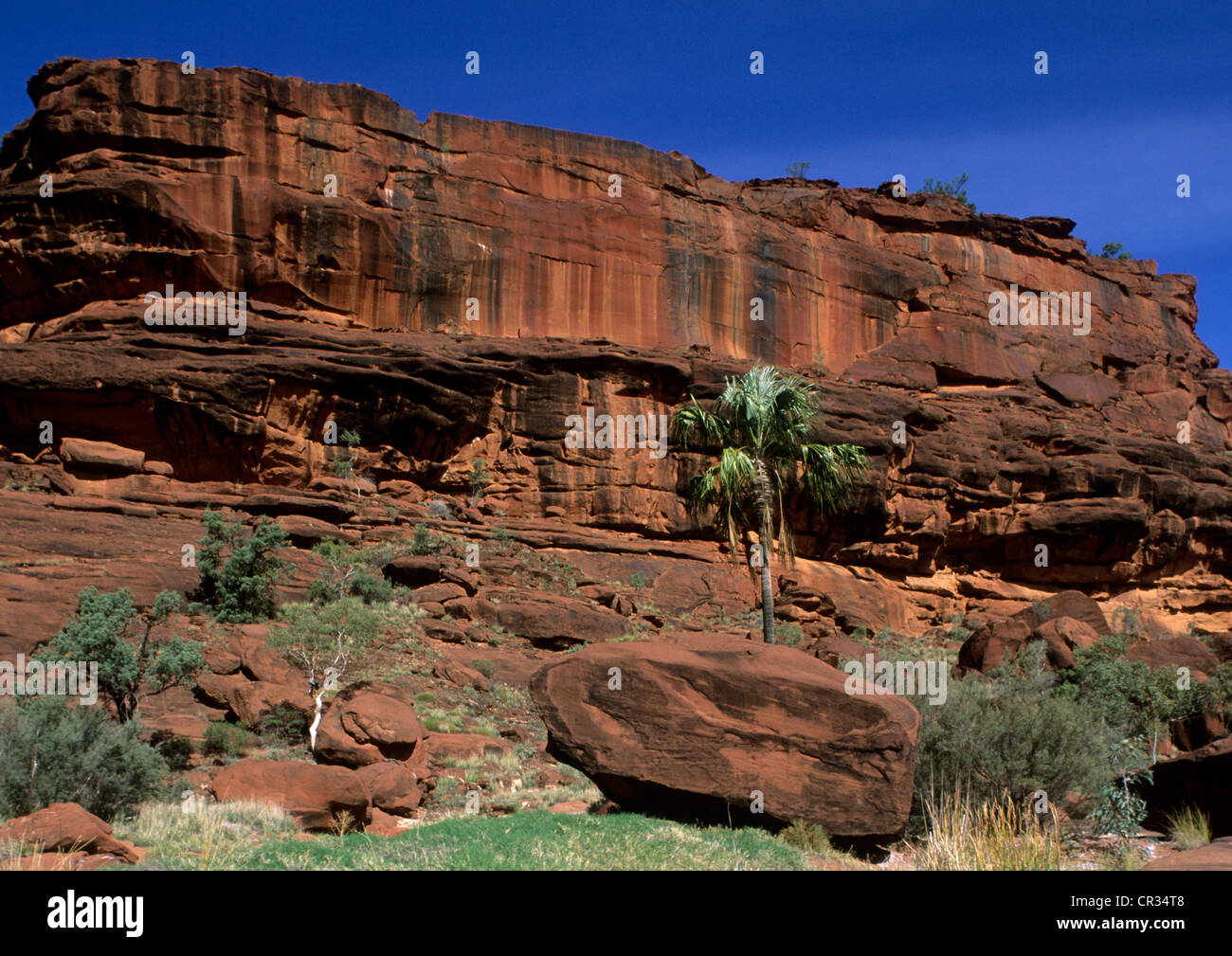 L'Australie, Territoire du Nord, de la vallée de Palm Canyon Banque D'Images