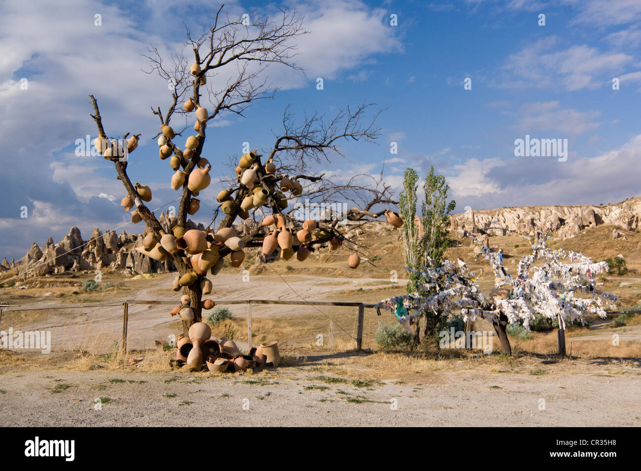 Arbre avec des pots d'argile à Göreme, en Cappadoce, Anatolie centrale, Turquie, Asie Banque D'Images