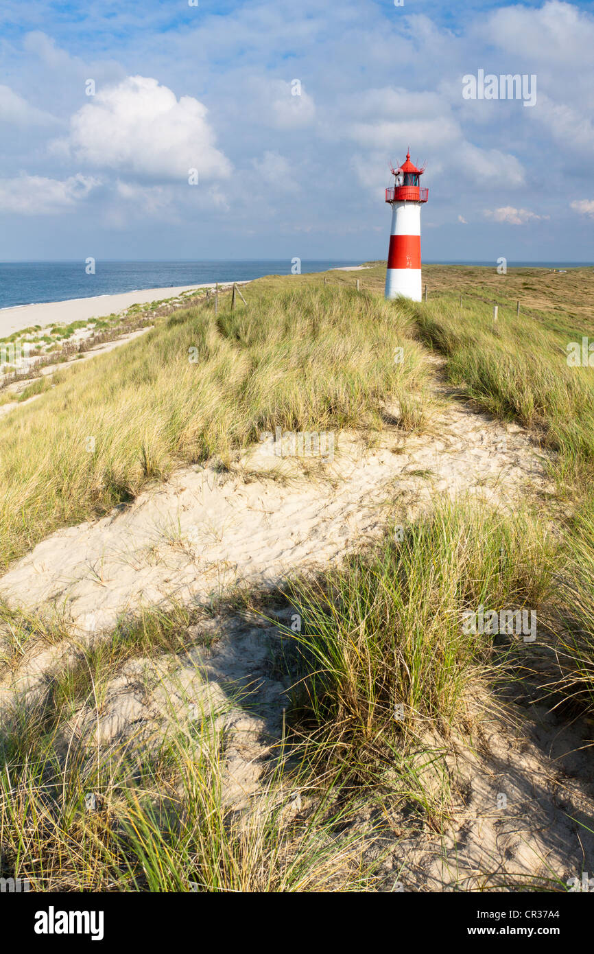 Phare de liste Ost avec un frison maison sur la presqu'île de Sylt Ellenbogen, Liste, Sylt, Frise du Nord, Schleswig-Holstein Banque D'Images