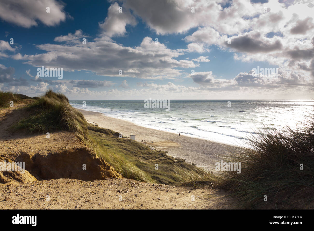 Île de Sylt : Un Refuge Féérique en Mer du Nord | Guide 2025 - Tips