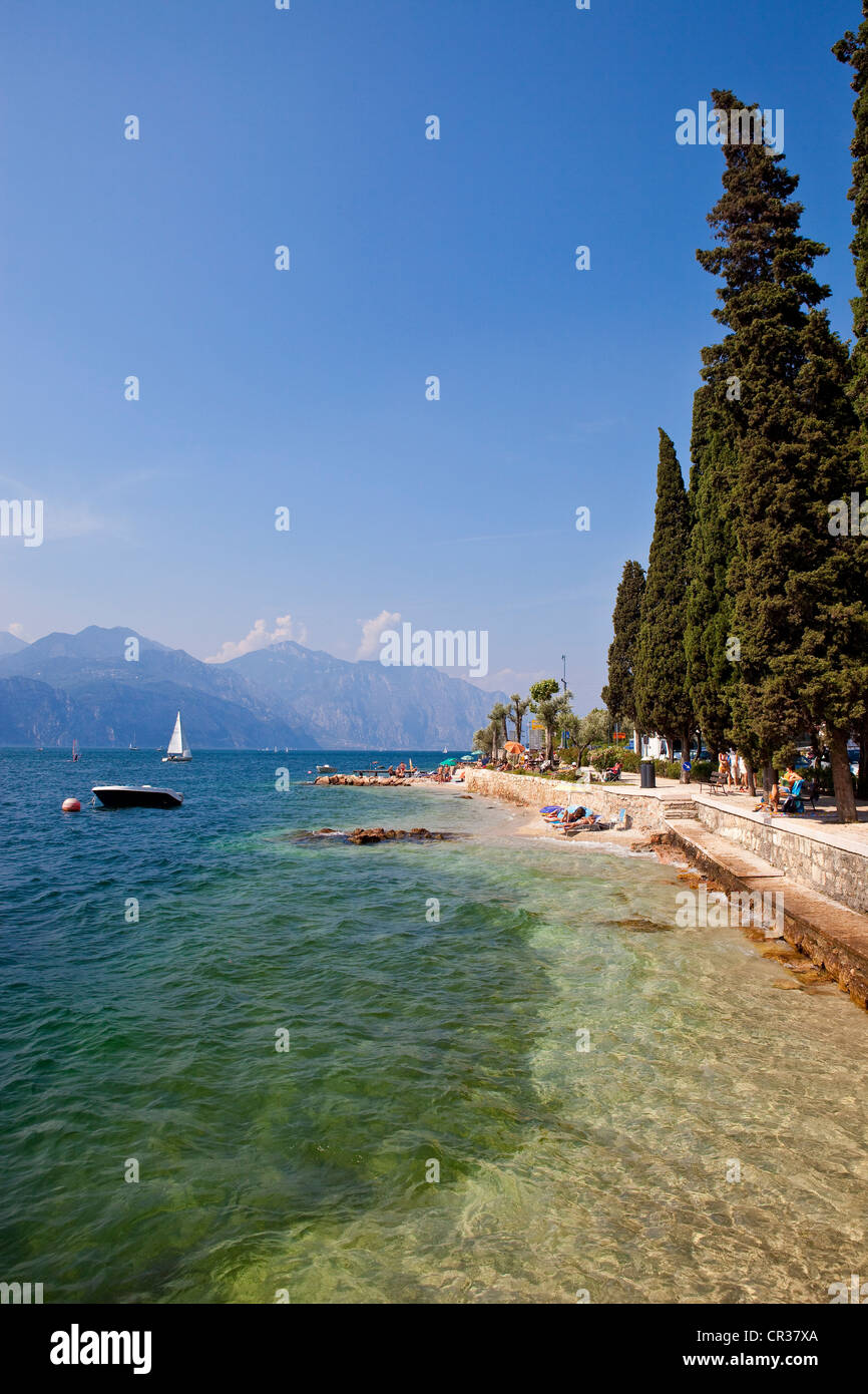 Italie, Vénétie, le lac de Garde, Malcesine Banque D'Images
