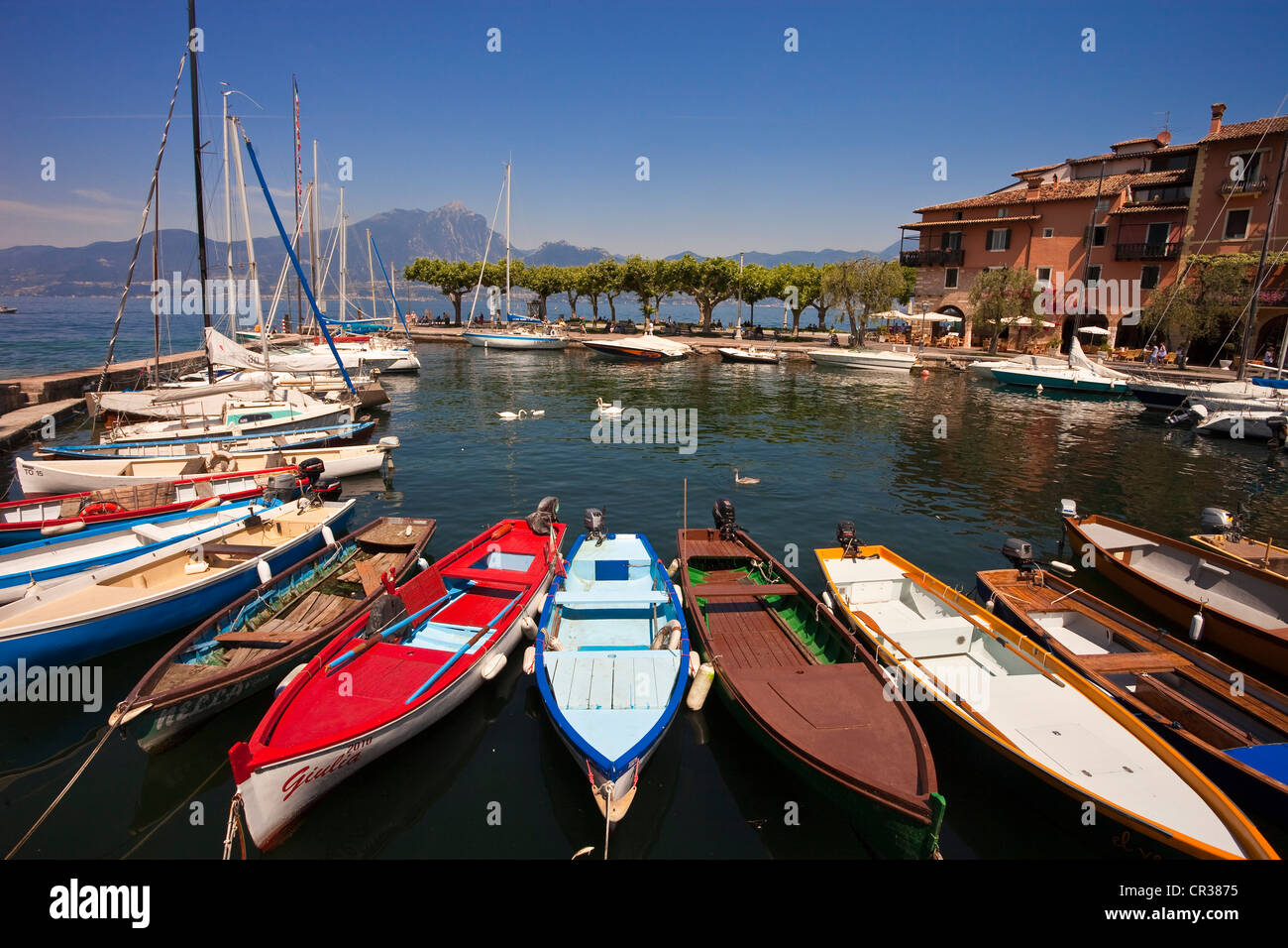 Italie, Vénétie, le lac de Garde, Torri del Benaco Banque D'Images