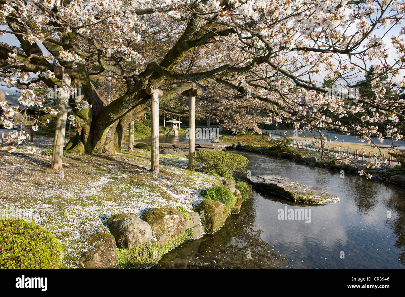 Le Japon, l'île de Honshu, région de Chubu, Kanazawa, Kenroku En Garden Banque D'Images