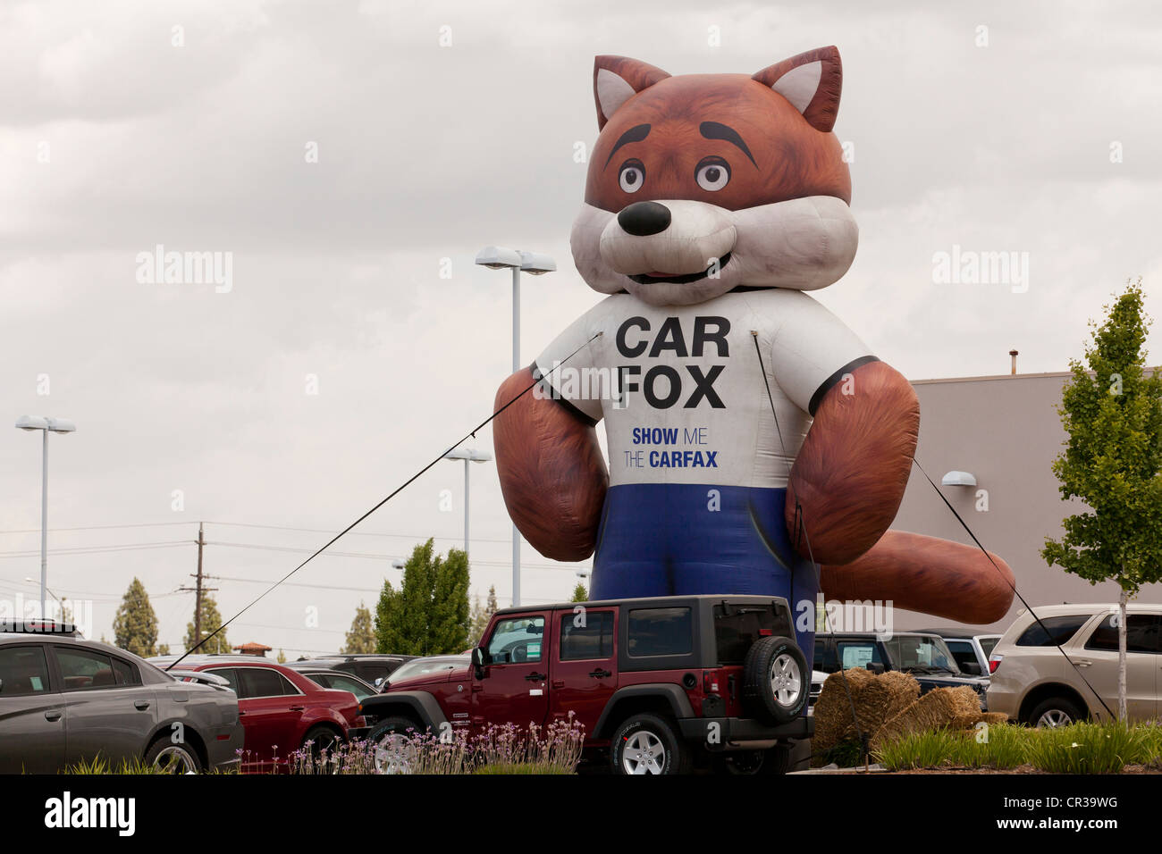 Carfox Carfax balloon affichage à l'une des voitures d'occasion lot - California USA Banque D'Images Carfox Carfax balloon affichage à l'une des voitures d'occasion lot - California USA Banque D'Images
