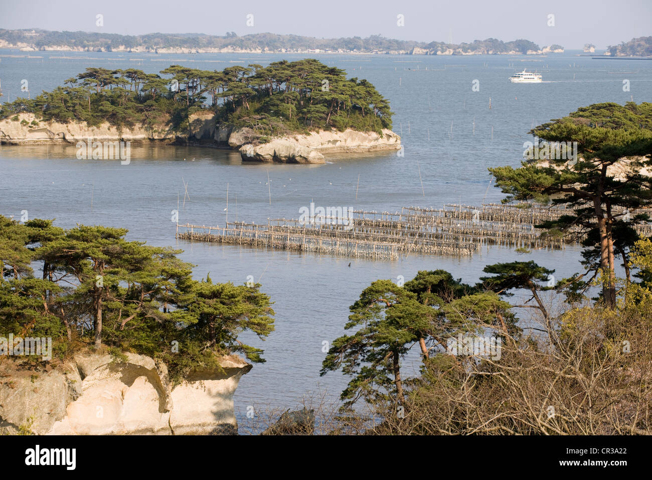 Le Japon, l'île de Honshu, région du Tohoku, Matsushima, la baie Banque D'Images