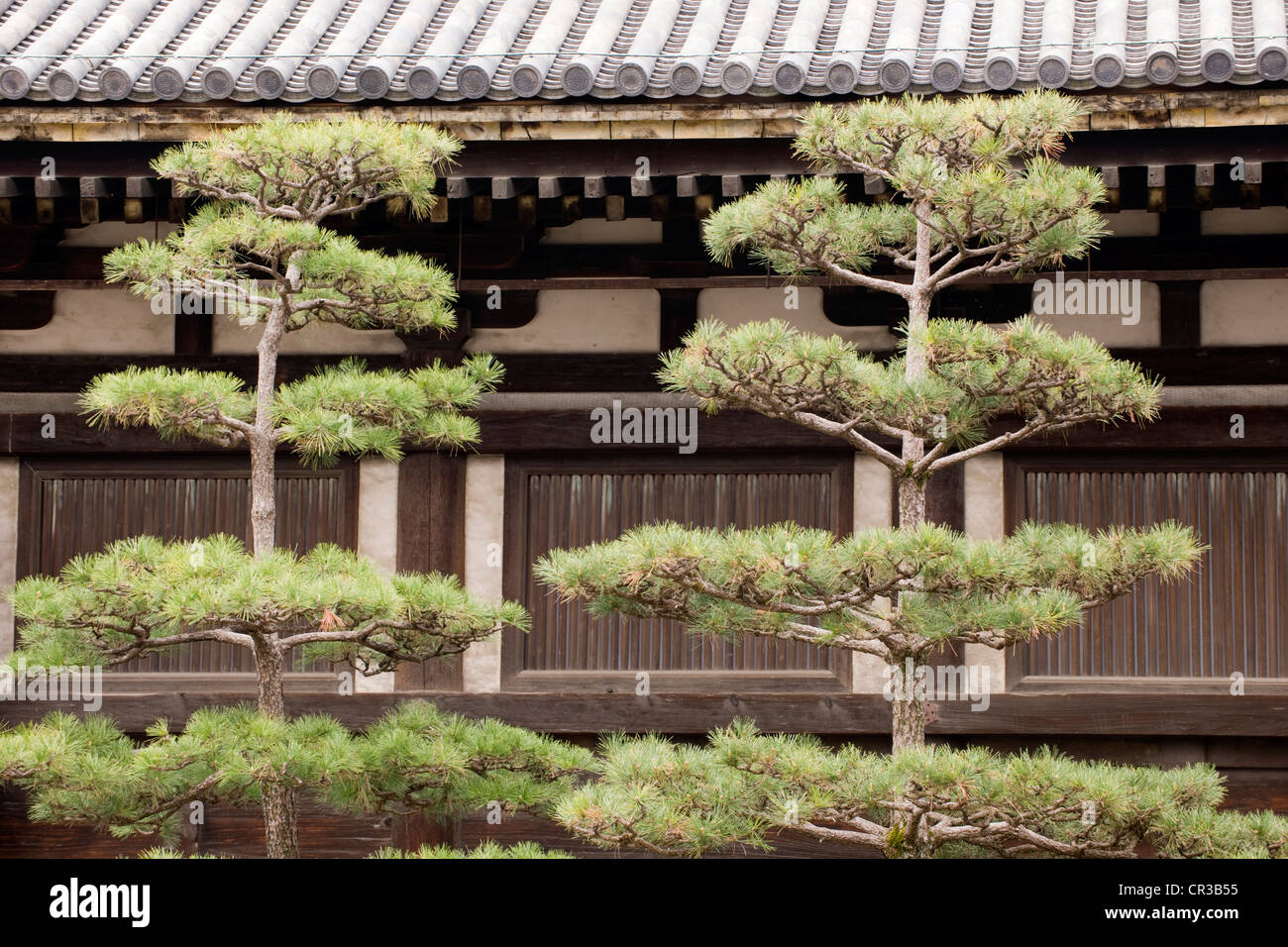 Le Japon, l'île de Honshu, la région de Kinki, ville de Kyoto, temple Sanjusangen Do Banque D'Images