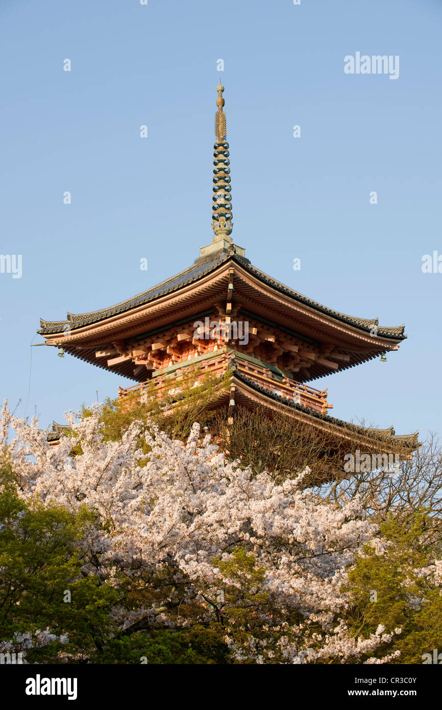 Le Japon, l'île de Honshu, la région de Kinki, ville de Kyoto, Temple Kiyomizu Dera UNESCO World Heritage Banque D'Images