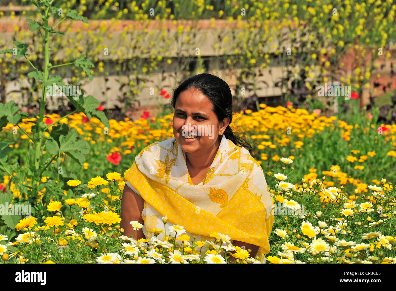 Jeune femme indienne dans un champ de fleur, Dhamekh Stoupa s'Isipatana, game park, Sarnath, Uttar Pradesh, Inde, Asie du Sud Banque D'Images