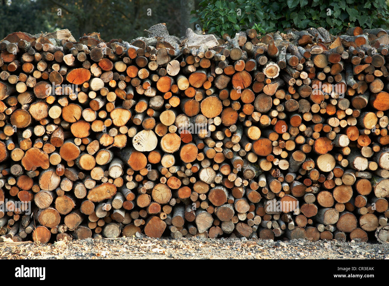 Close-up d'un périmètre mur jardin composé de bois de sciage en Italie. Banque D'Images