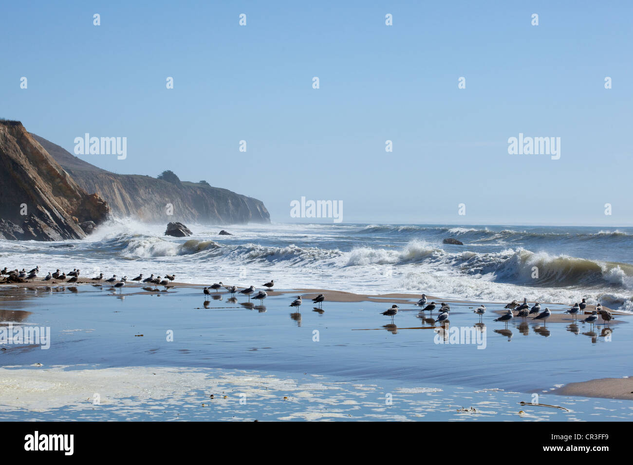 Anchor Bay, Mendocino County, Californie, USA Banque D'Images