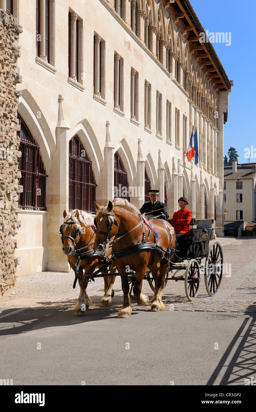 France, Saône et Loire, Maconnais, Cluny, faisceau du Haras National devant la façade Pape Gelase Banque D'Images