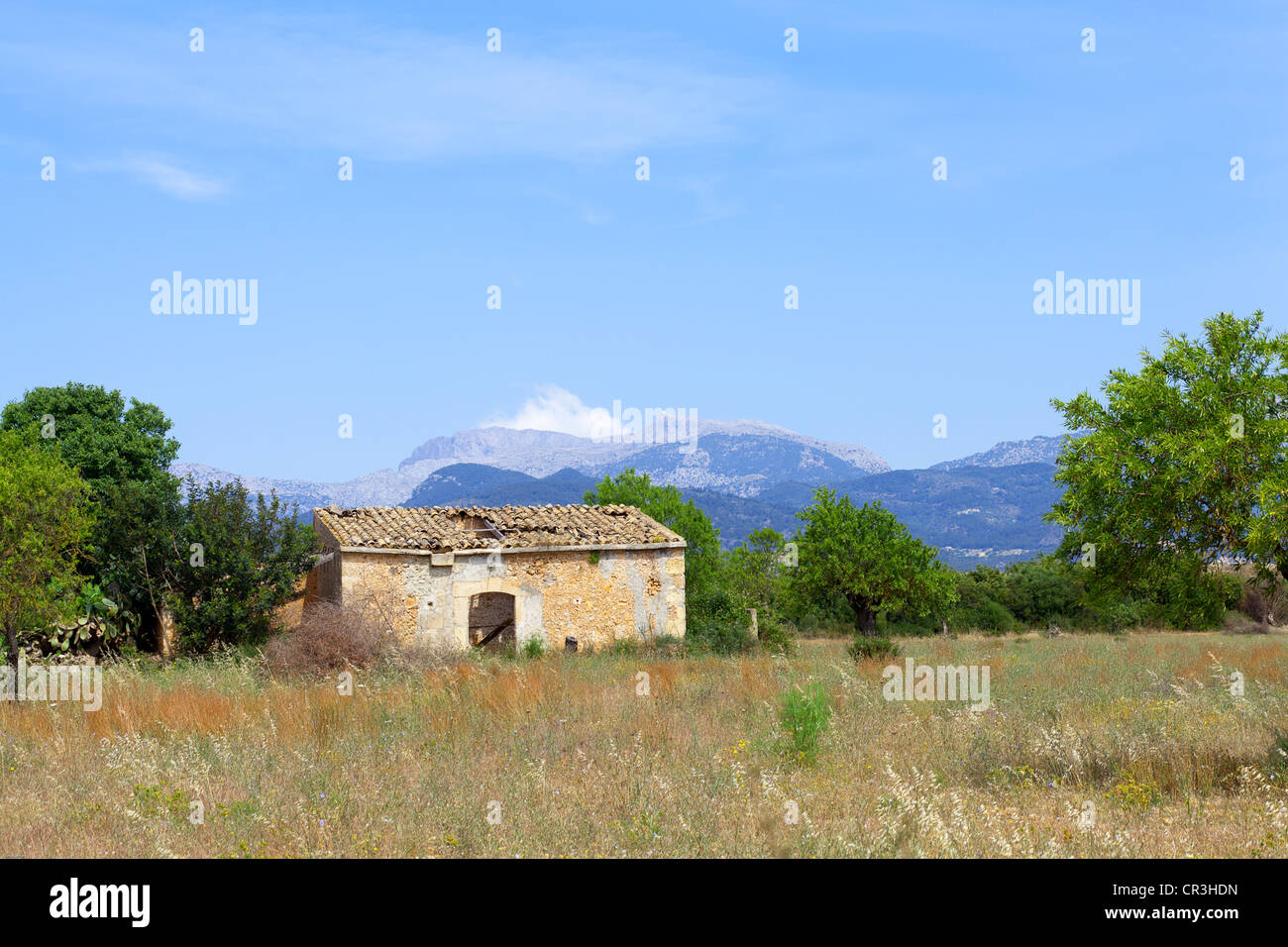 Cabane en pierre dans l'intérieur de l'île, les montagnes de Tramuntana à l'arrière, Majorque, Îles Baléares, Espagne, Europe Banque D'Images