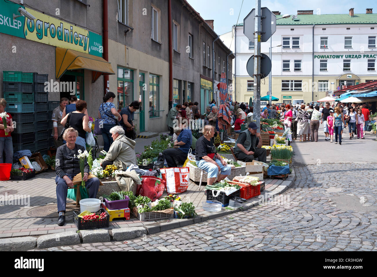Europe de l'Est Pologne Tarnow samedi matin jour de marché Banque D'Images