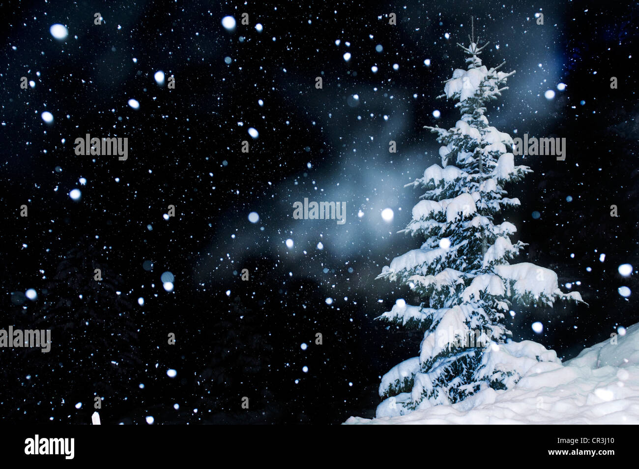 Sapin avec de la neige et les flocons Banque D'Images