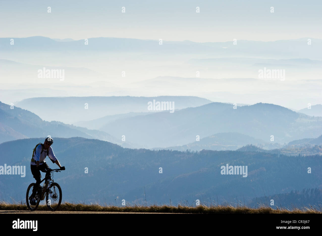 Du vélo de montagne sur le mont Belchen, forêt noire, forêt noire, Bade-Wurtemberg, Allemagne, Europe Banque D'Images