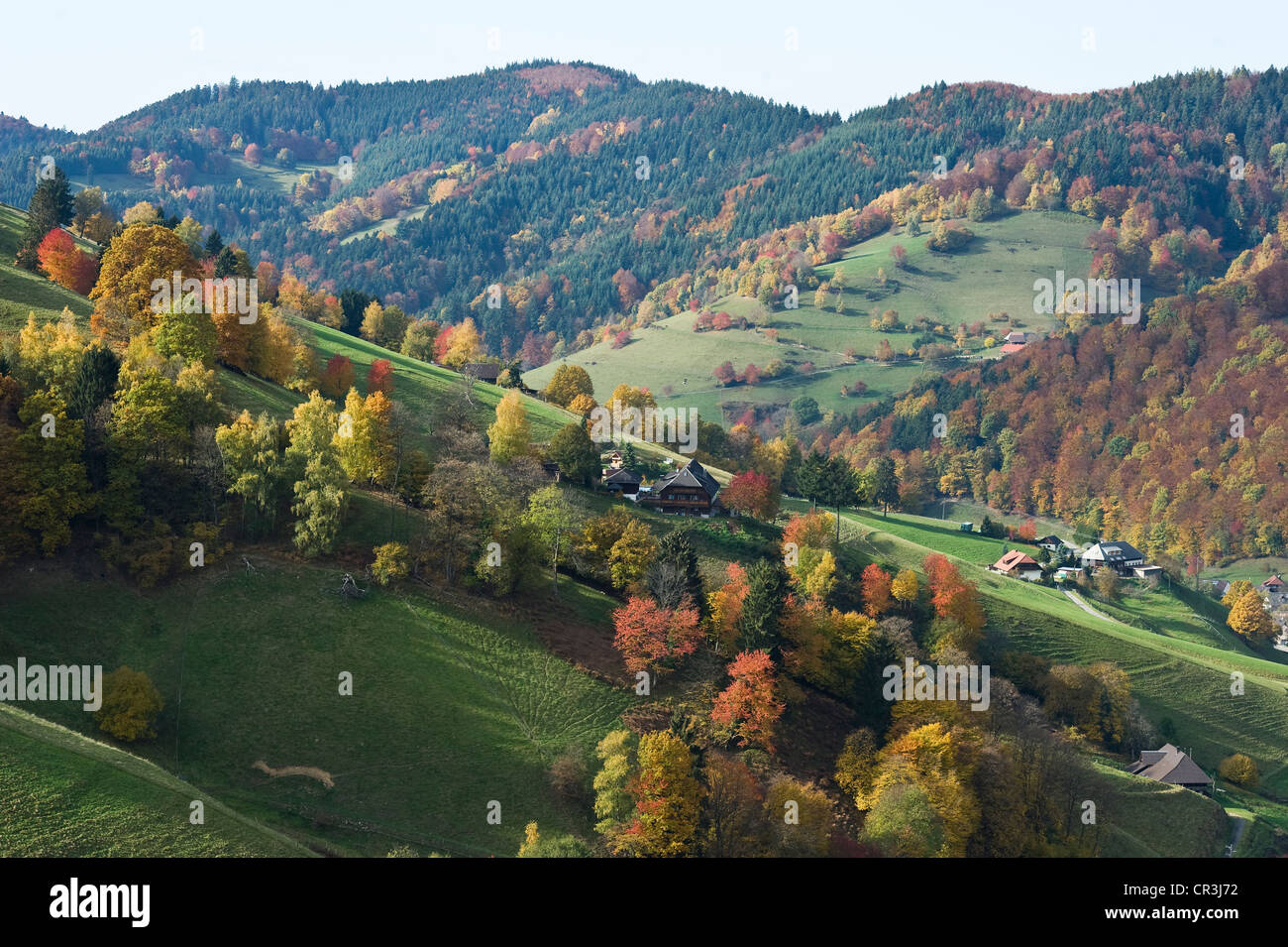 Muenstertal en automne, forêt noire, forêt noire, Bade-Wurtemberg, Allemagne, Europe Banque D'Images